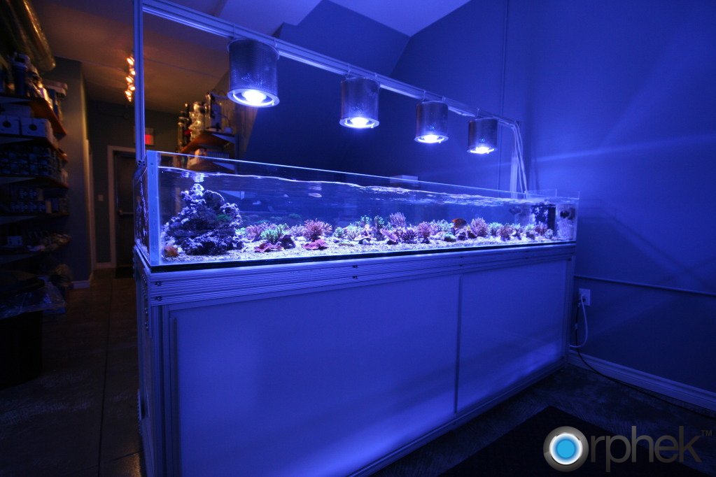 Diy Led Reef Light / DIY Overboard - AcroOptics - This is the third ...