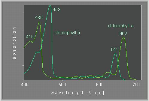 chlorophyll a b - LED Colors?