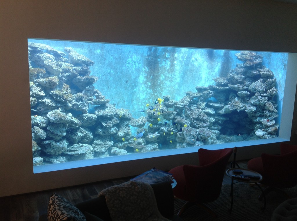 Reef Aquarium with no corals 9000 G