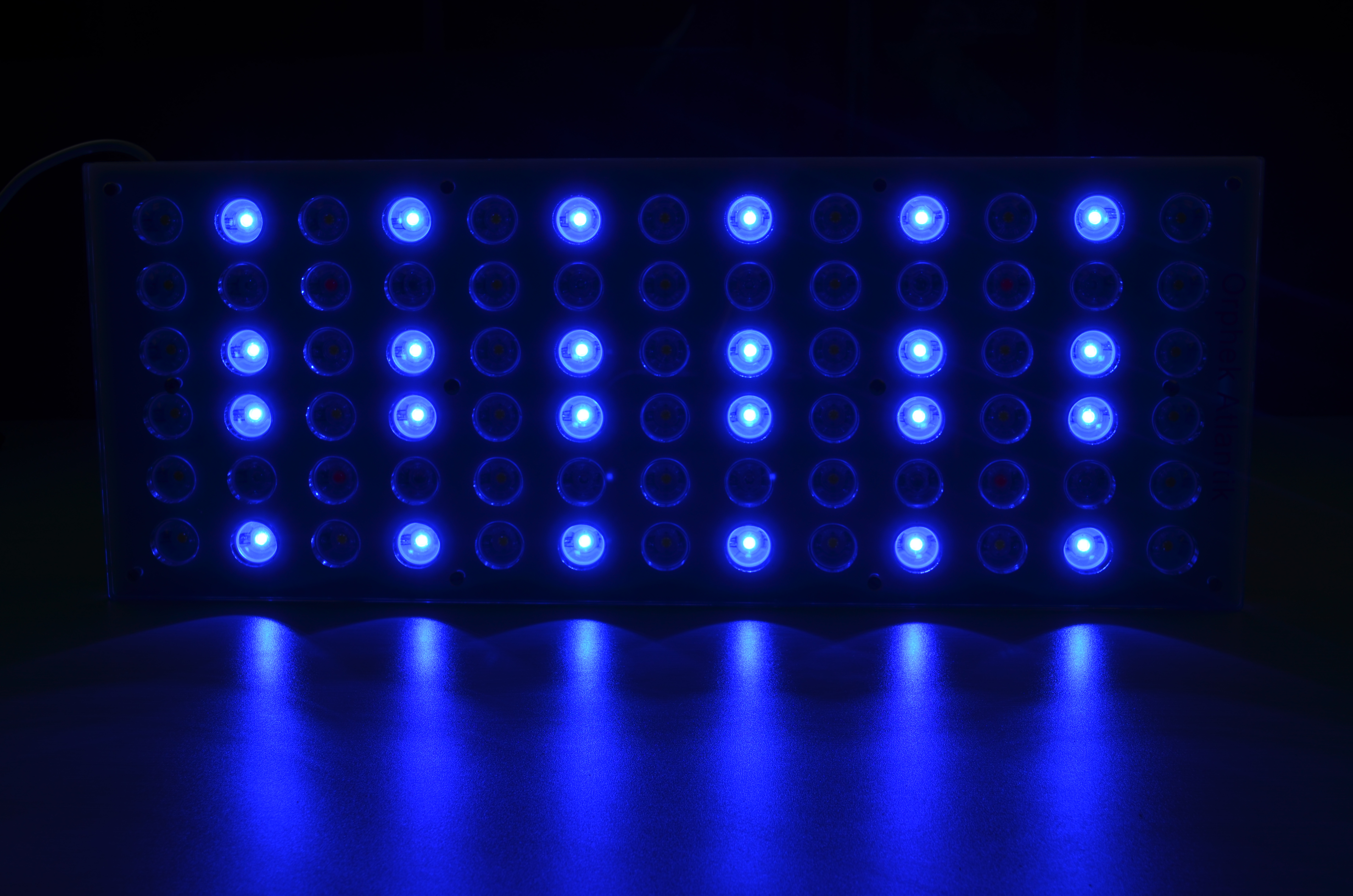 LED-lighting-blue.jpg