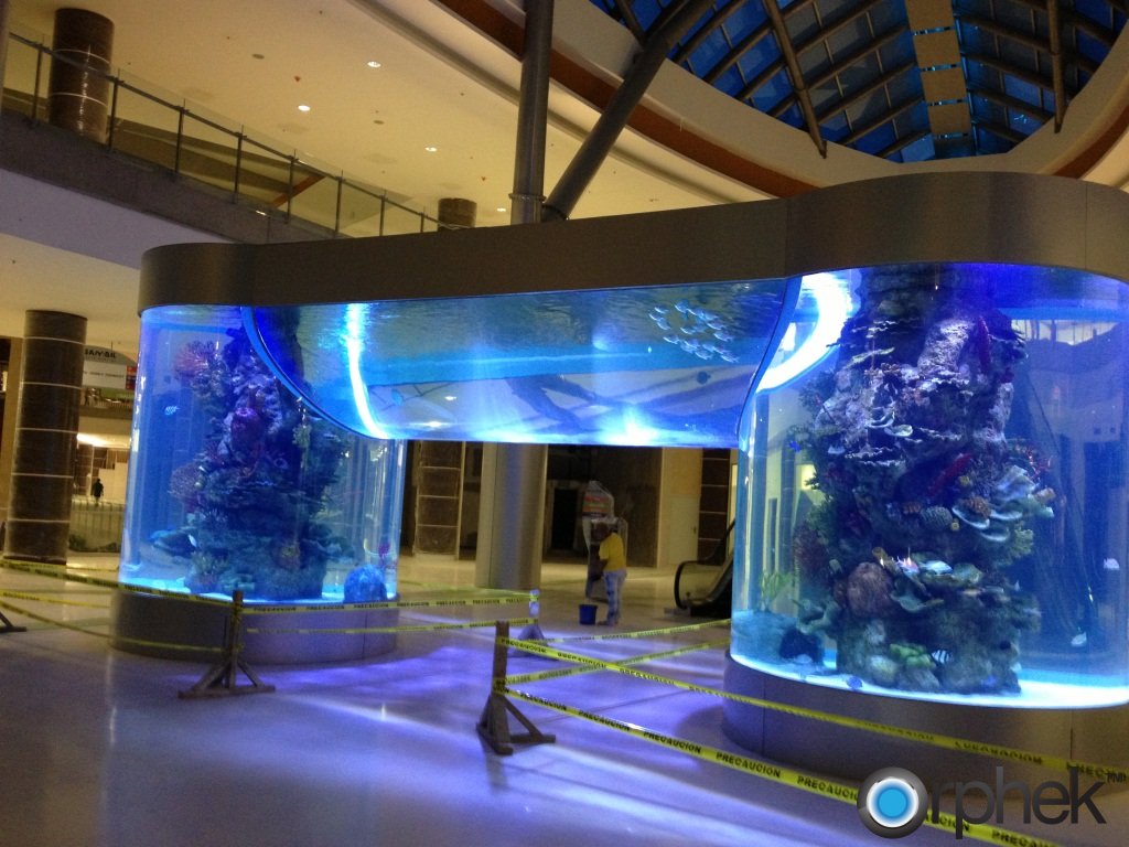 Sambil Shopping mall Sto. Domingo Aquarium , Light Orphek Led
