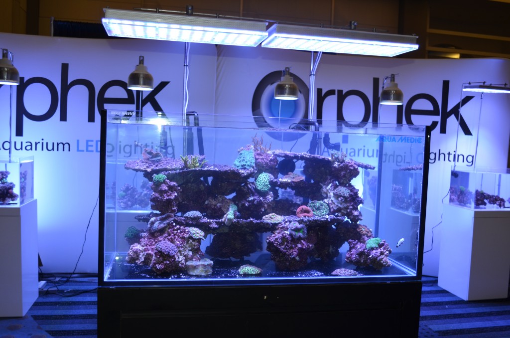 Orphek Reef aquarium LED lighting 