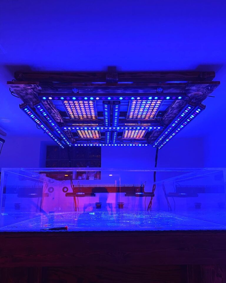 Or Led Bar Reef Aquarium Photo Gallery Orphek Reef Aquarium Led Lighting