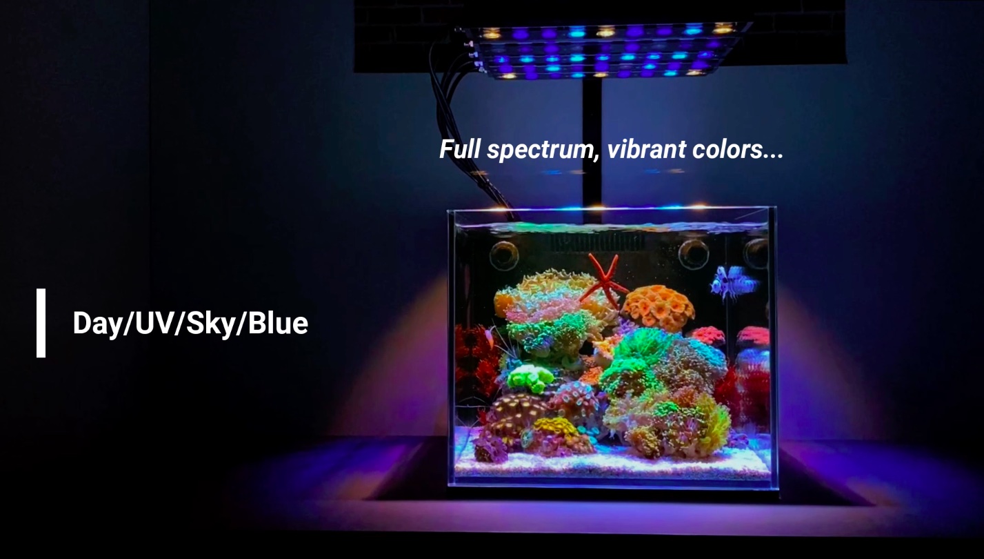 OR4_icon_mix_reef_day_blue_plus_sky_blue_uv_violet_nano_reef_led_light