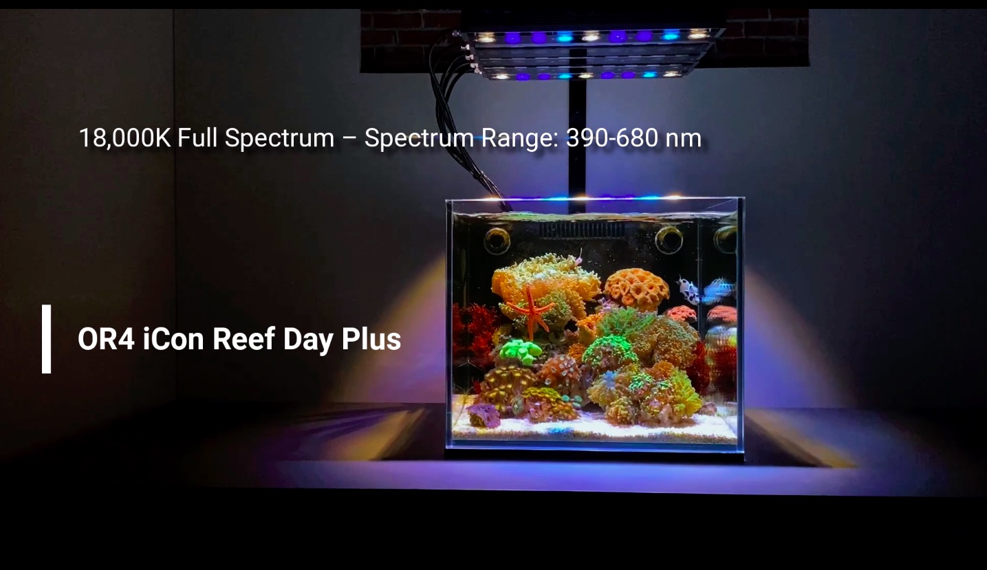 OR4_icon_reef_day_LED_ba
