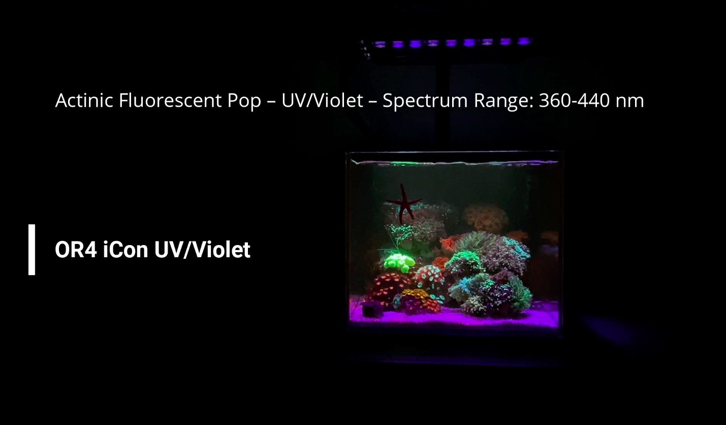 OR4_uv_violet_led_bar_nano_aquarium