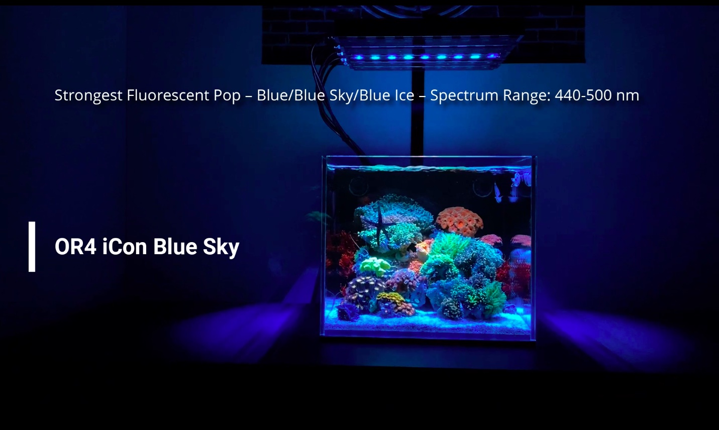 Or4_icon_blue_plus_reef_led_bar