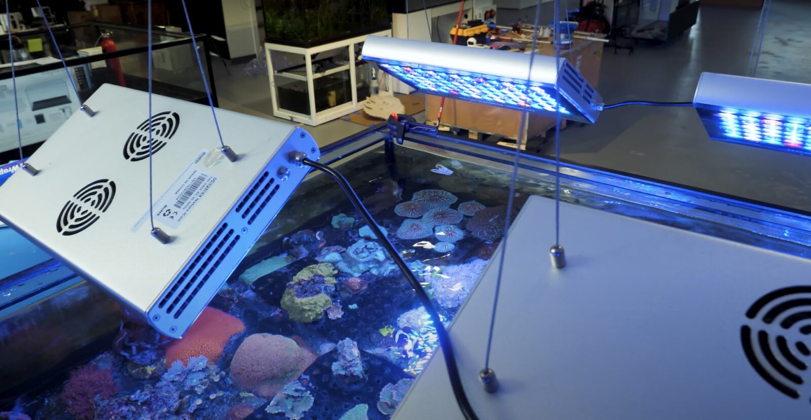 reef_builders_orphek_natura_icon_reef_led_light-