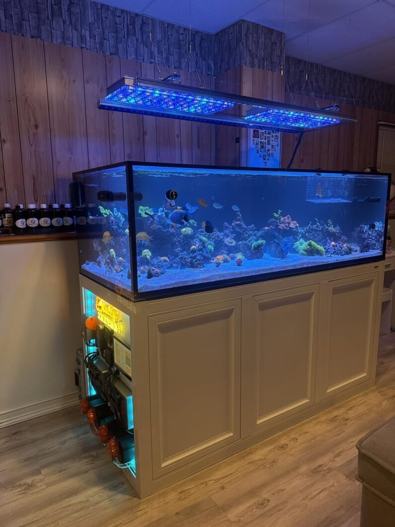 Atlantik_Icon_OR4_iCon-LED_for_reef_tank