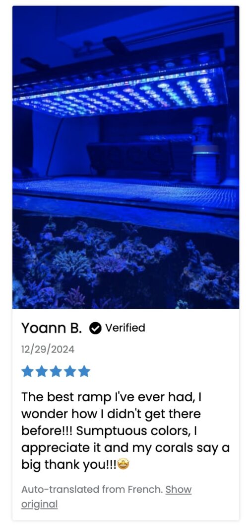 Atlantik_iCon_5_stars_client_review_excellent