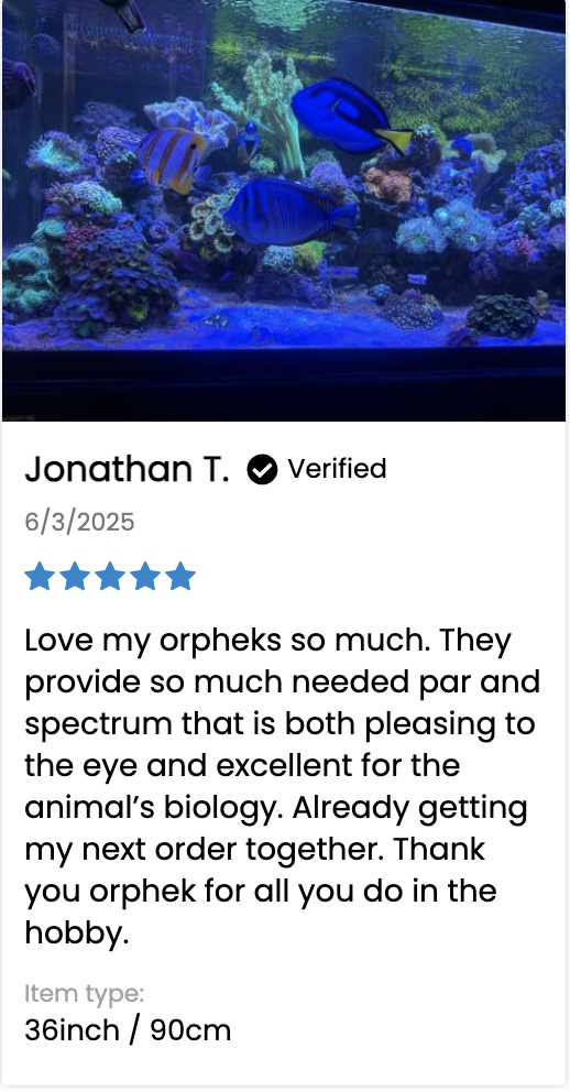 Clients_review_for_OR4_LED_BARS