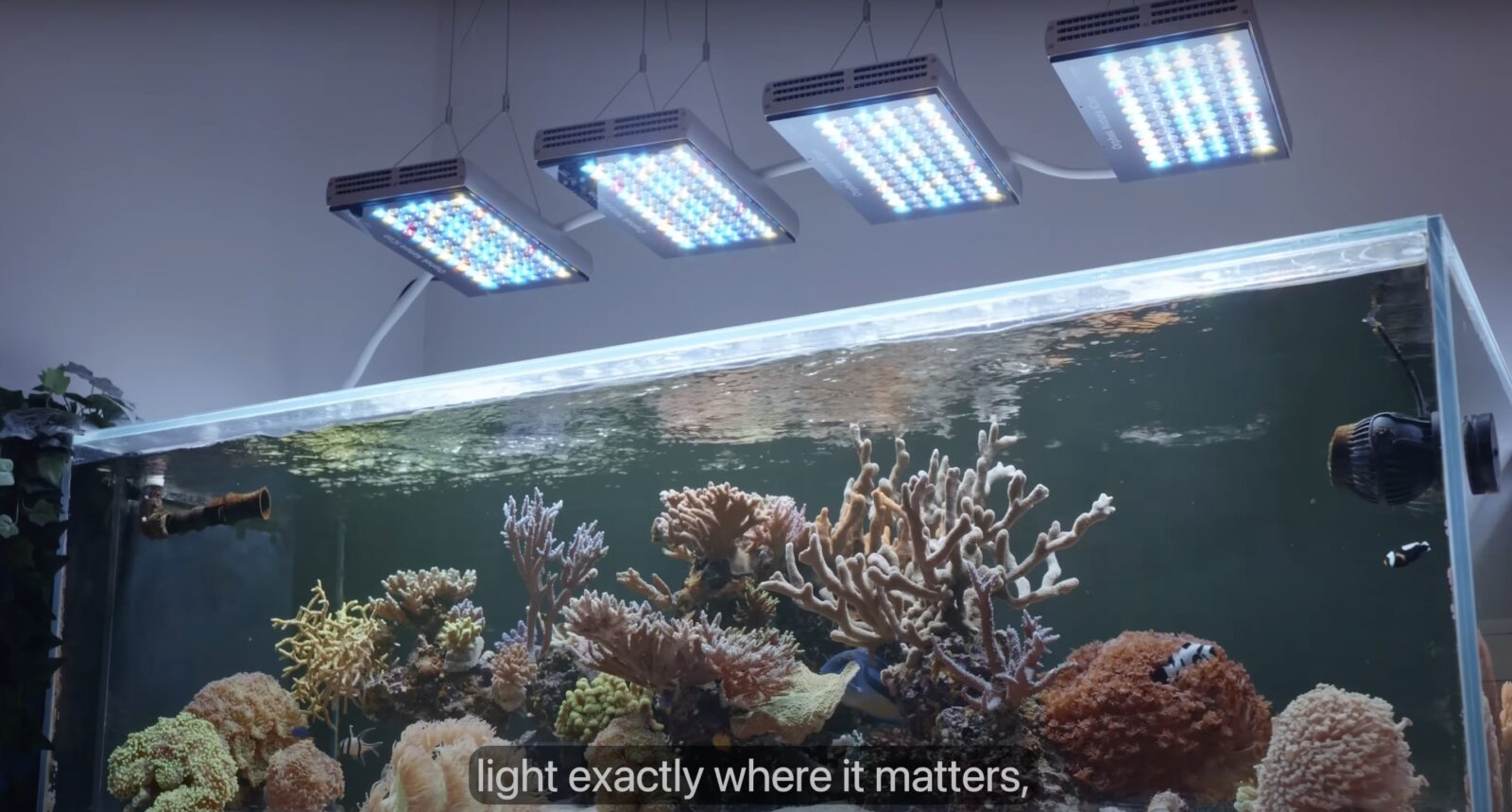 Orphek Natura iCon Reef LED 150W: Surpasses 215W in Impresssive PAR Test!