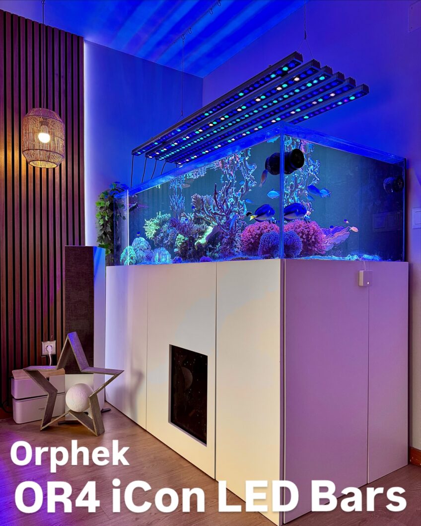 OR4-iCon_LED-Bars_sleek_layout