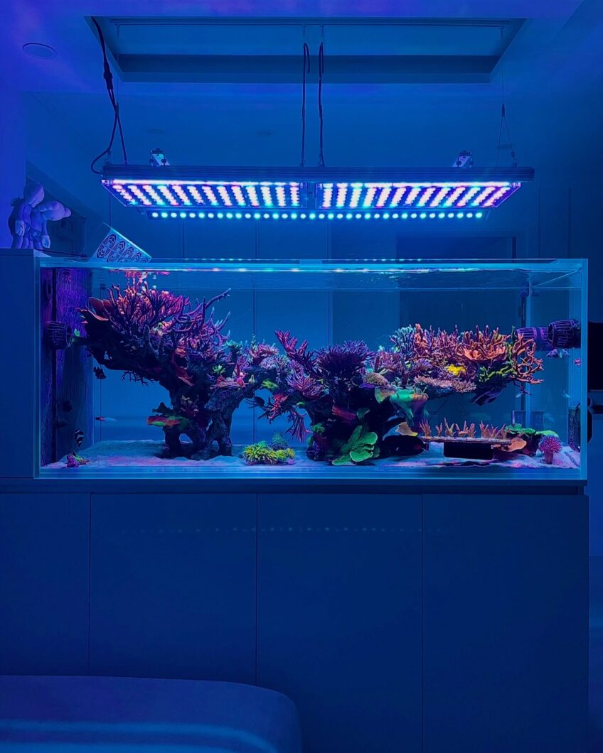 OR4_iCon_LED_Bar_mixed_with_Atlantik_iCon