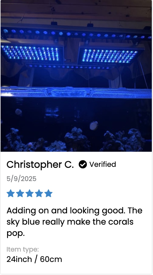 OR4_iCon_LED_Bar_review_5_stars