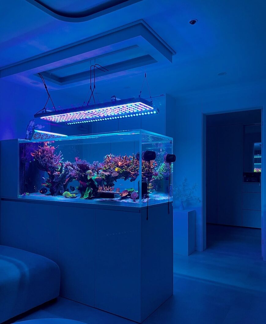 OR4_iCon_LED_Bar_supplemental_Light_to_ATlantik_iCon_Reef_Tank