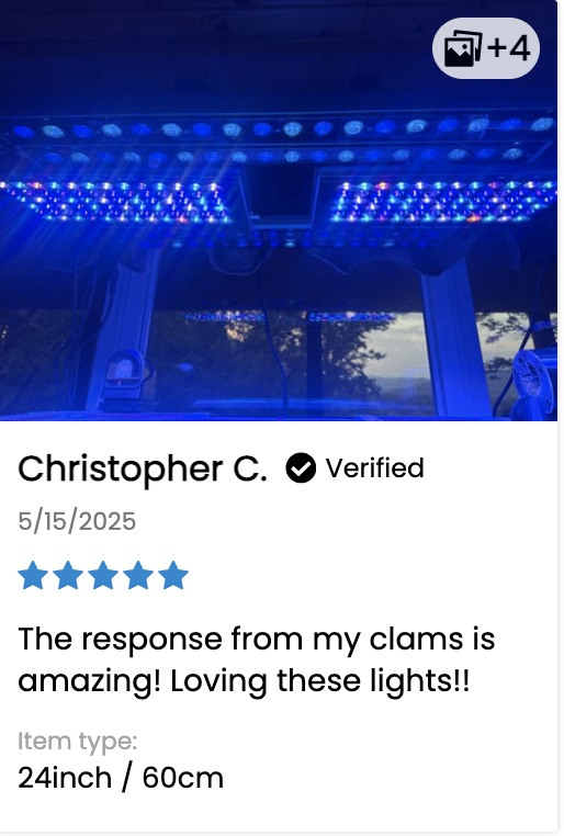 OR4_iCon_Violet_UV-Client_review_5_stars