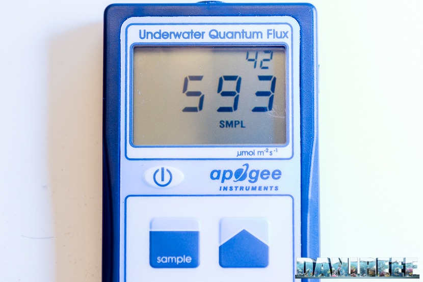 PAR-meter_danireef_lab_measuring_Natura-iCon