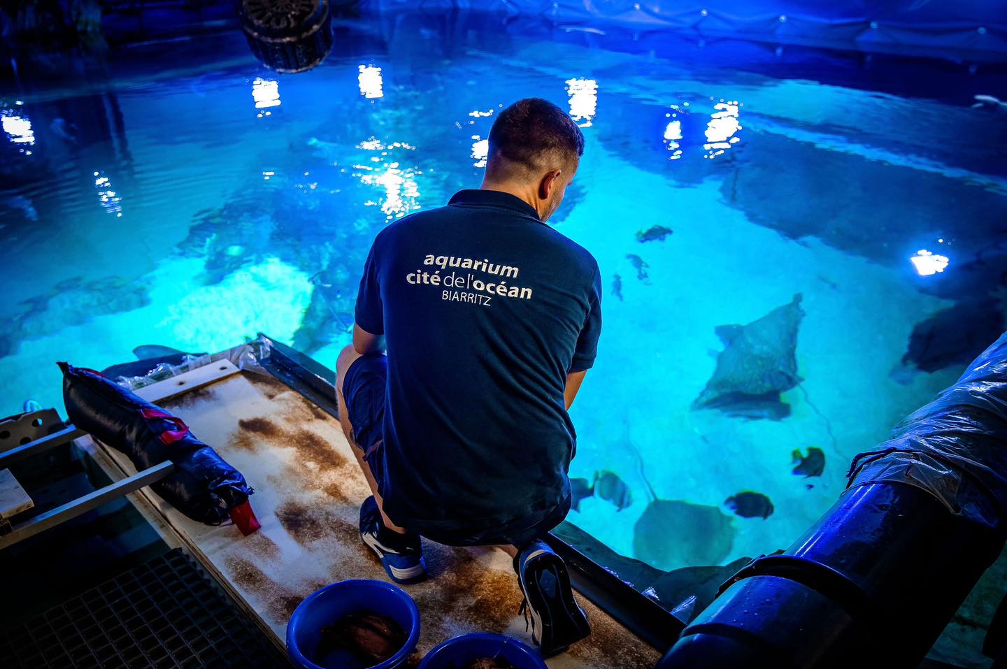 amazonas_500_Biarritz_backstage_feeding_sharks.