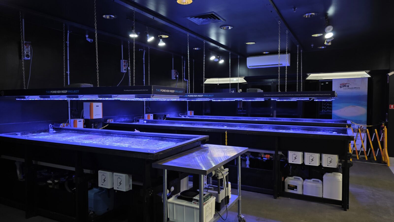 orphek-and-The-Forever-Reef-Project-facility_coral-frags-under_atalntik-iCon-units