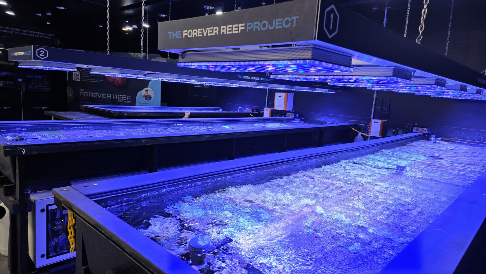 orphek-and-the-forever-reef-project-