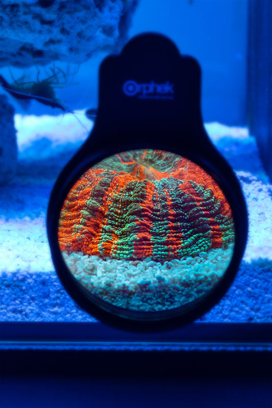 orphek-omini-glass-lens-for-reef-aquarium