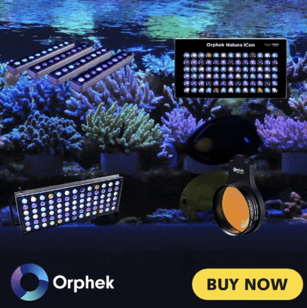 1111_-promotions_orphek_products