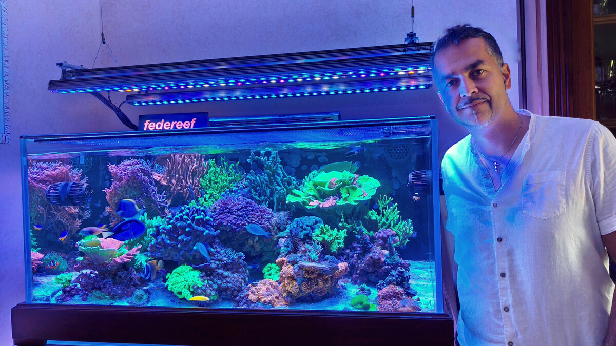 Orphek_tank_of_the_month_OR-LED_Bars