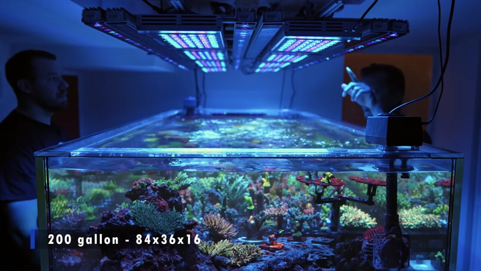 orphek-natura-icon-lighting-over-sps-reef-aquarium