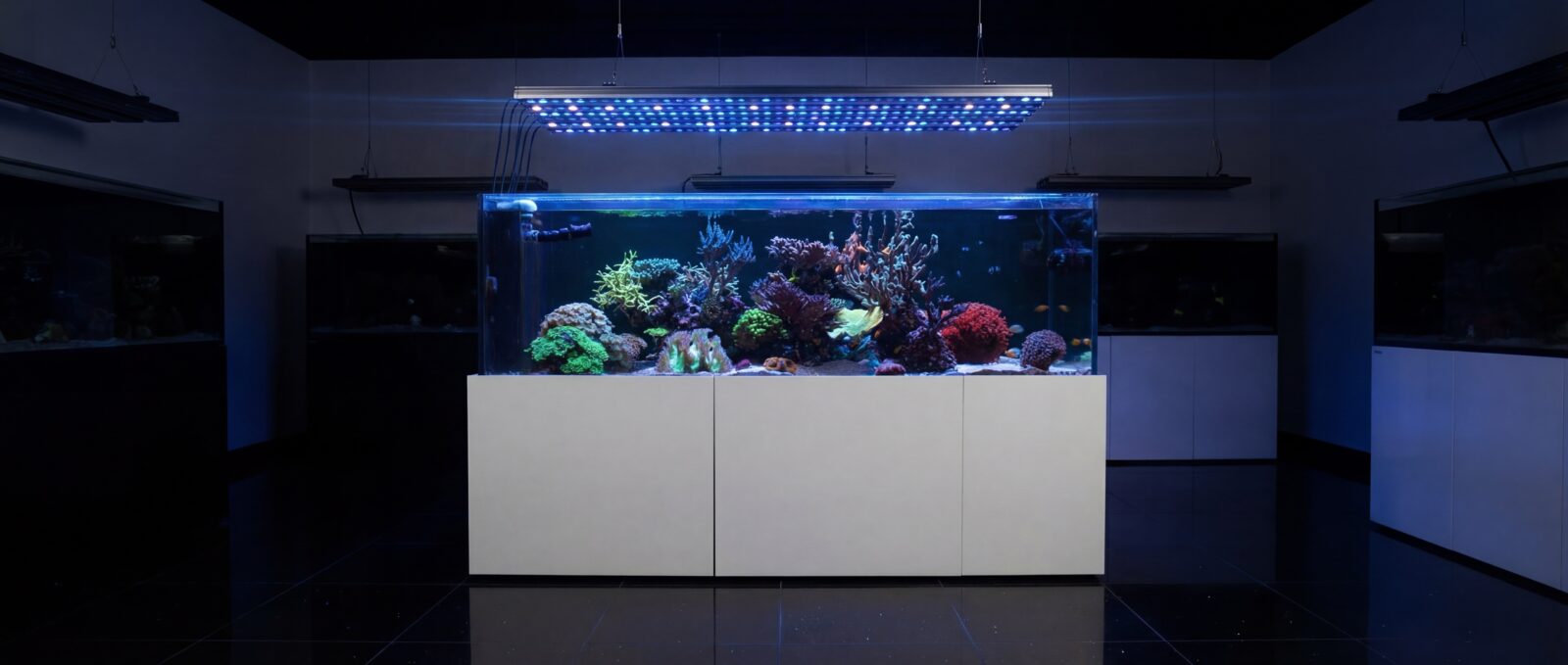 or4-icon-led-bars-coral-fluorescence-pop