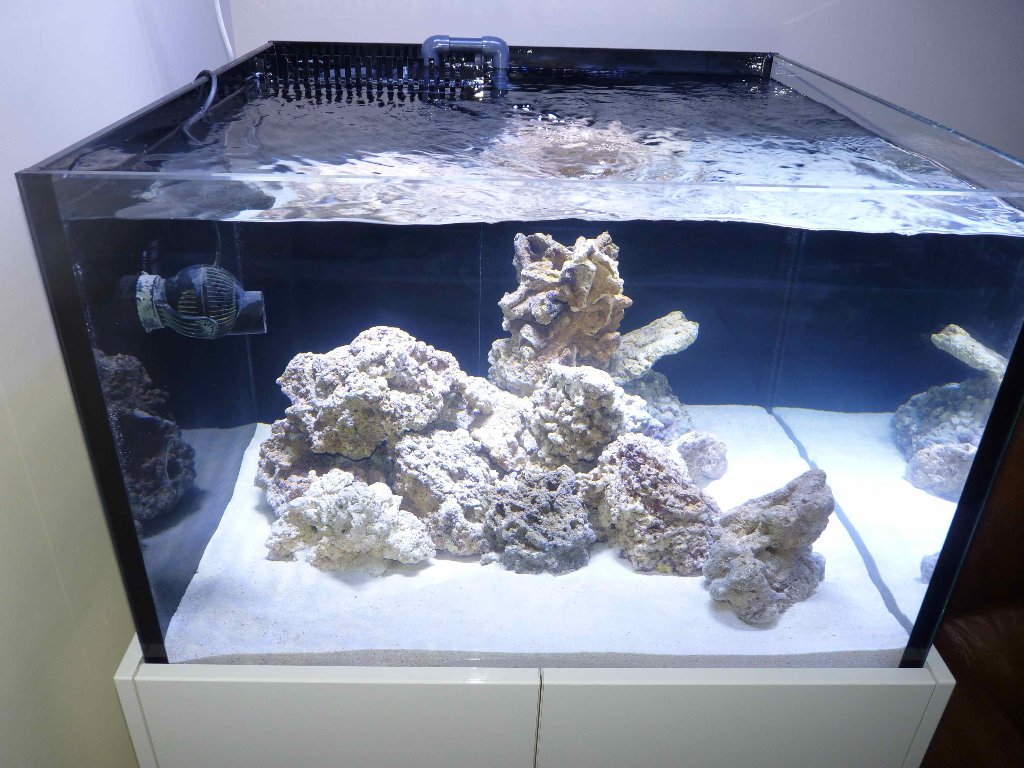 Orphek akvaario led-valaistus