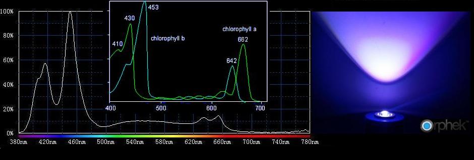 LED espectro de clorofila A e B para os corais que crescem