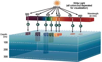 orphek lighting graph