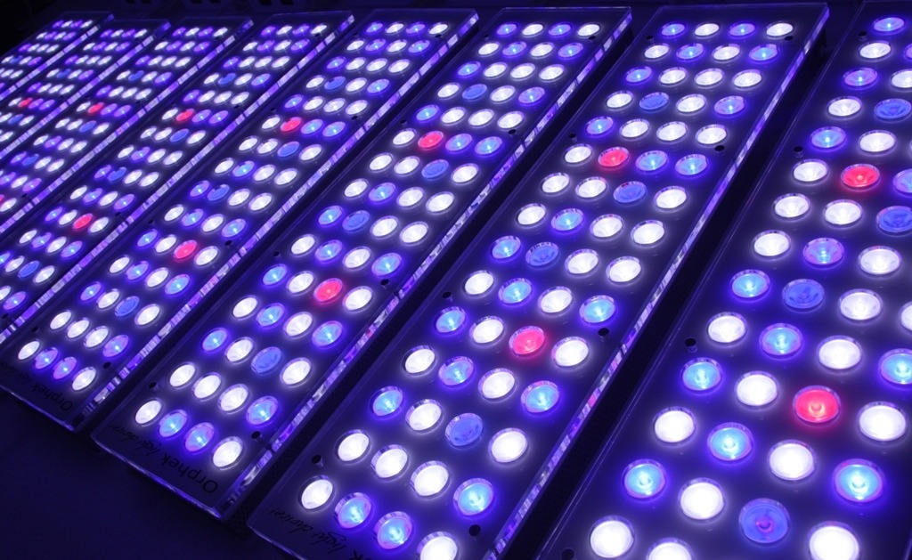orphek akvárium LED osvětlení