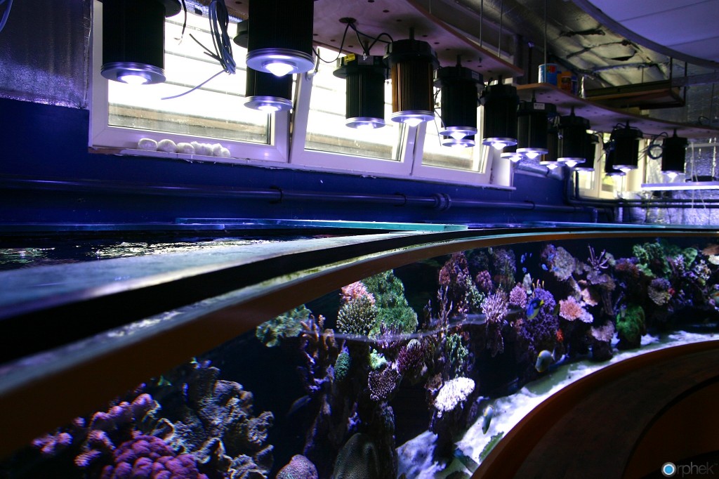 orphek akvarium LED belysning