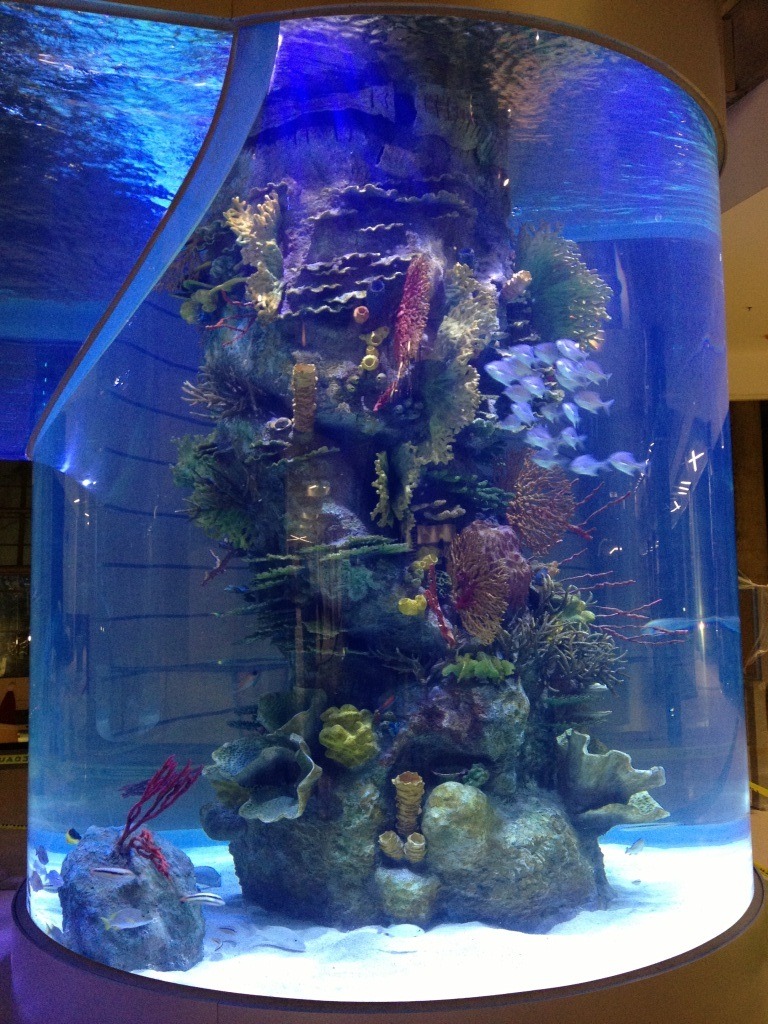 DIF 100 akvarium Led-belysning av orphek