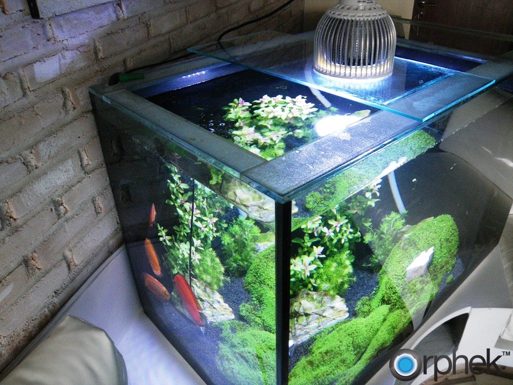 72 inch led 2024 planted aquarium light