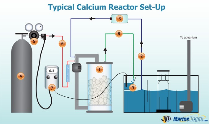 do calcium you absorb how â€¢Orphek REACTORS CALCIUM