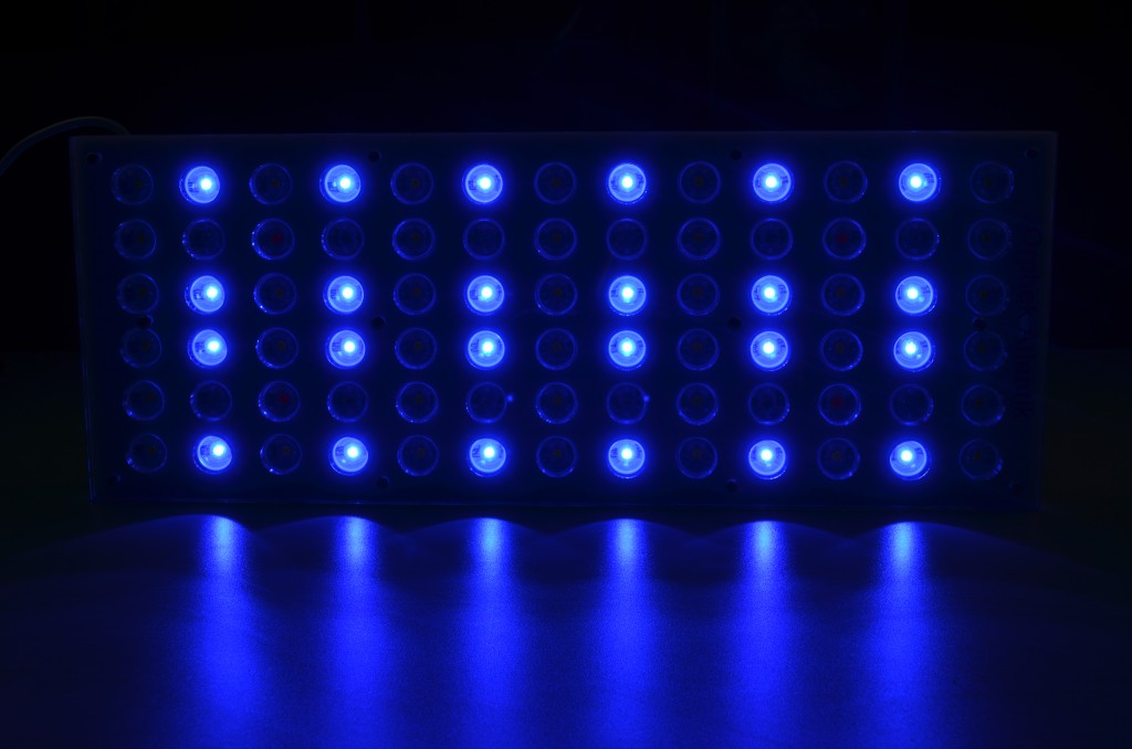 LED-Beleuchtung für Aquarien