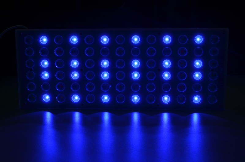 melhor iluminação LED de água salgada para aquários