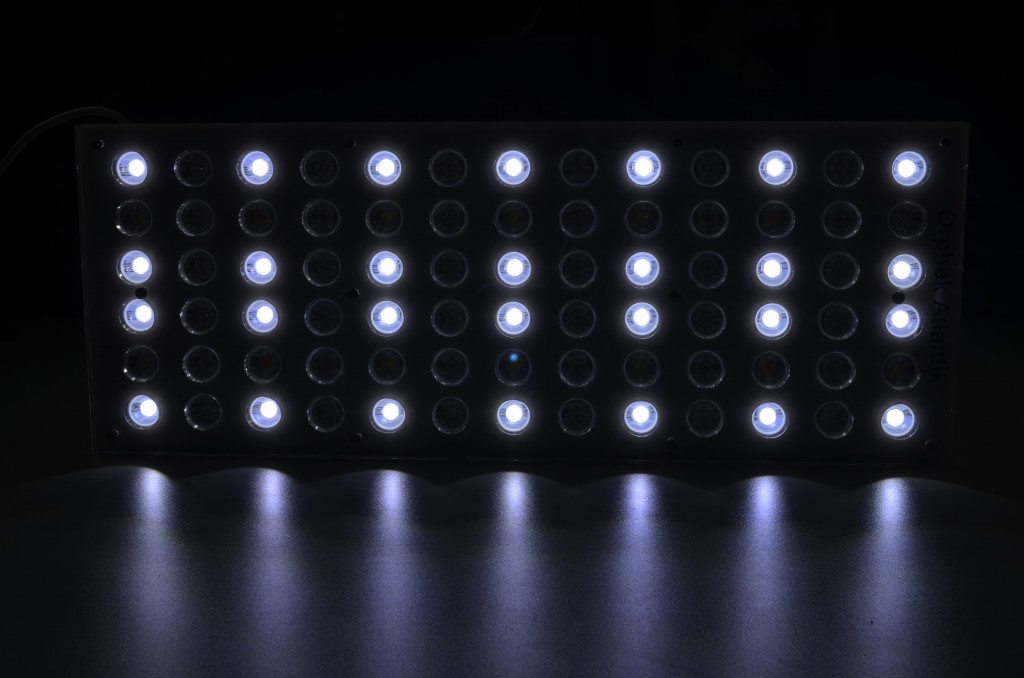 LED లైటింగ్ తెలుపు
