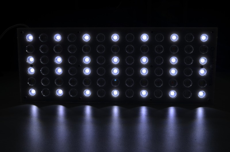 oświetlenie LED akwarium białe