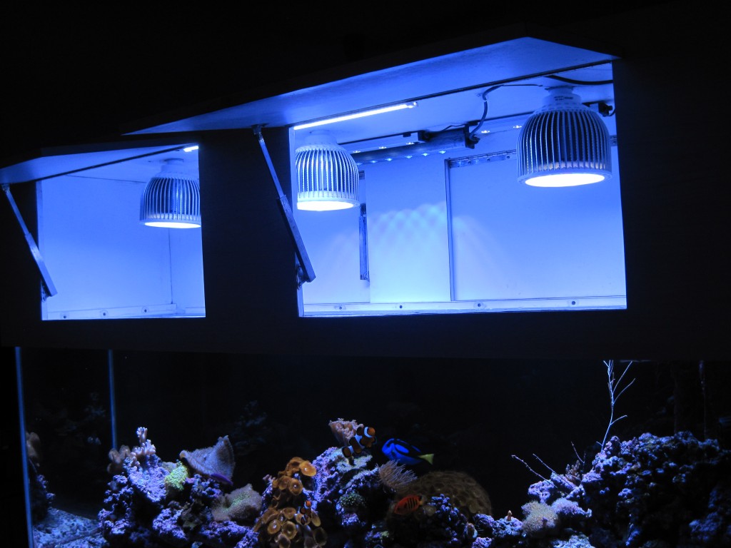 Orphek PR72 reef LED-belysning