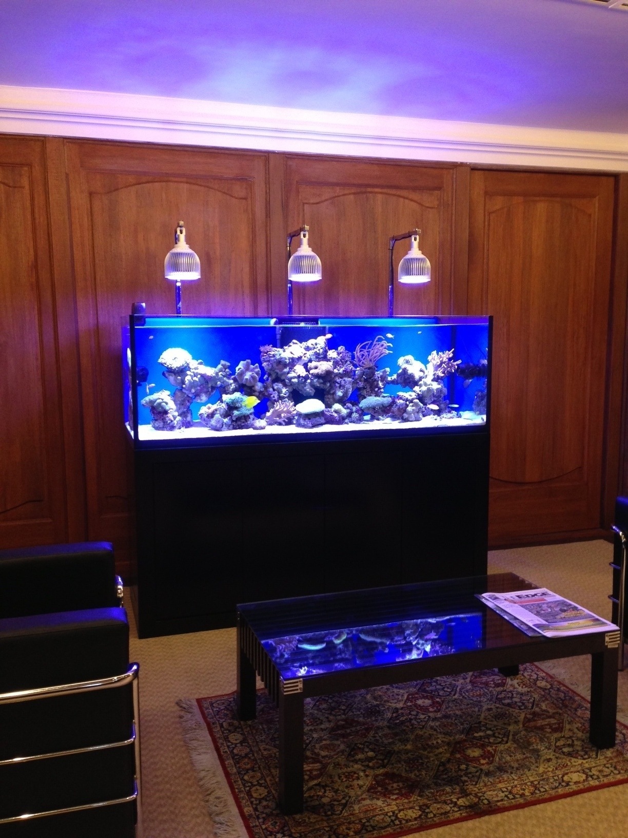 metal halide lights for reef tank