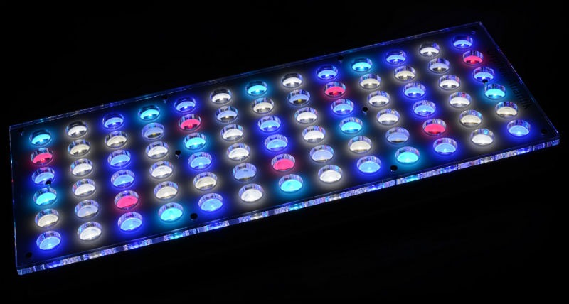 Bedste-LED-rev-akvarium-belysning