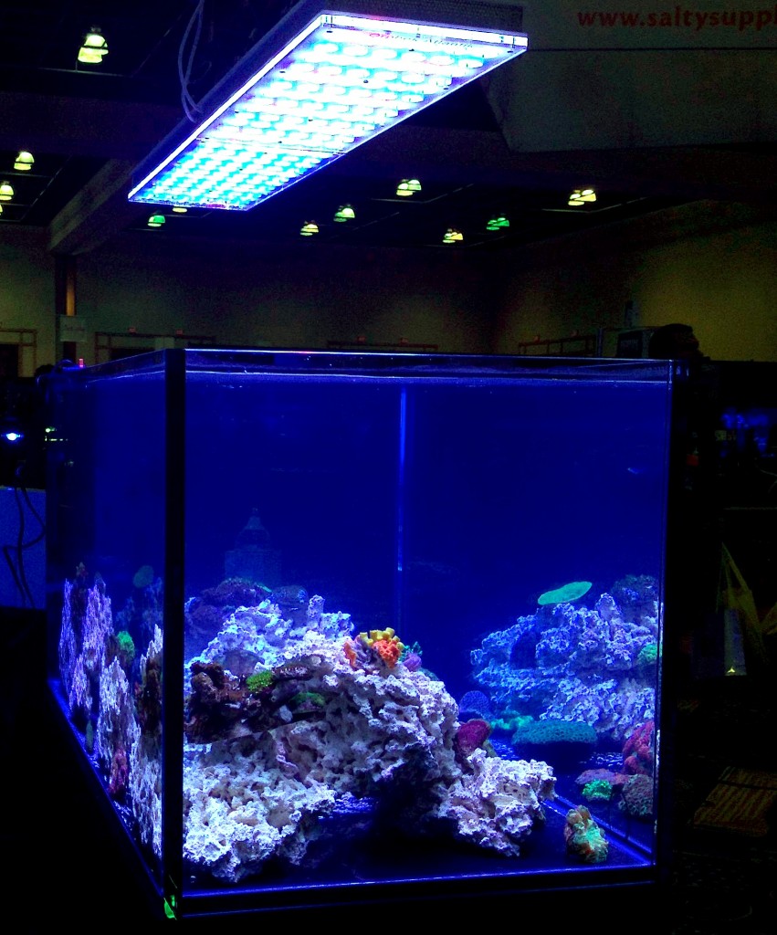 led aquarium lighting