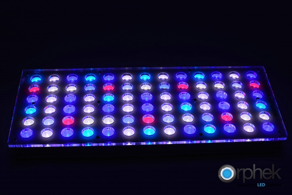 najlepsze oświetlenie LED zbiornika rafy