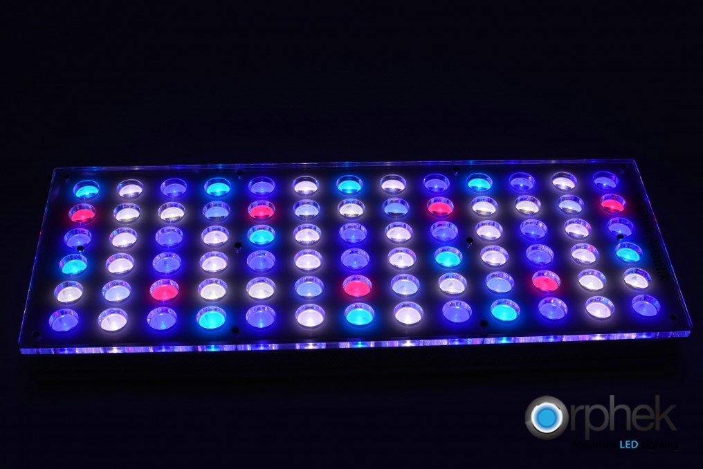 bedste reef tank LED belysning