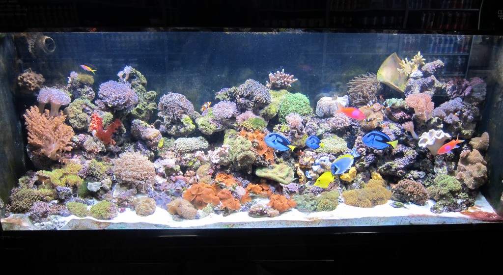 IRAN_ AQUARIUM_led_lighting