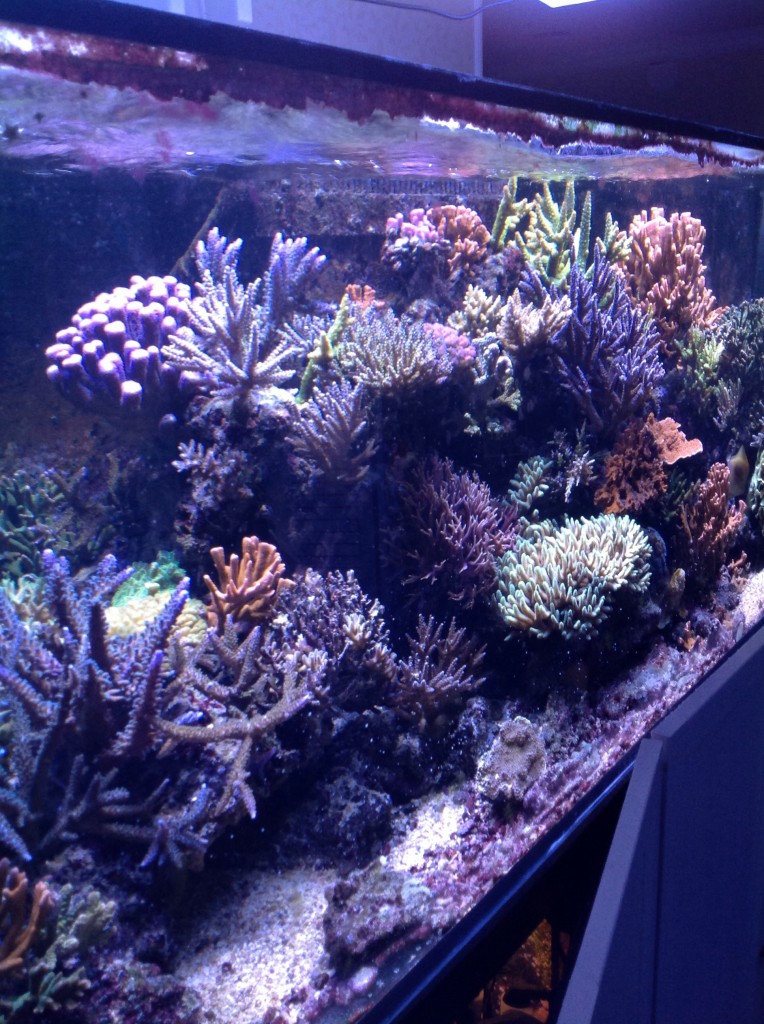 aquarium_led_verlichting